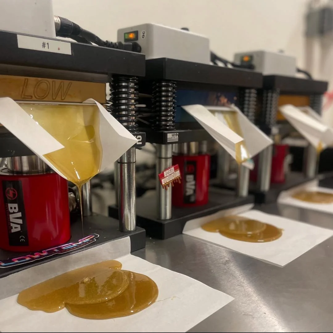 Live Resin