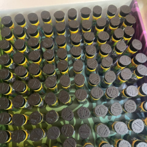 Authentic Cali Plug 1g Prerolls
